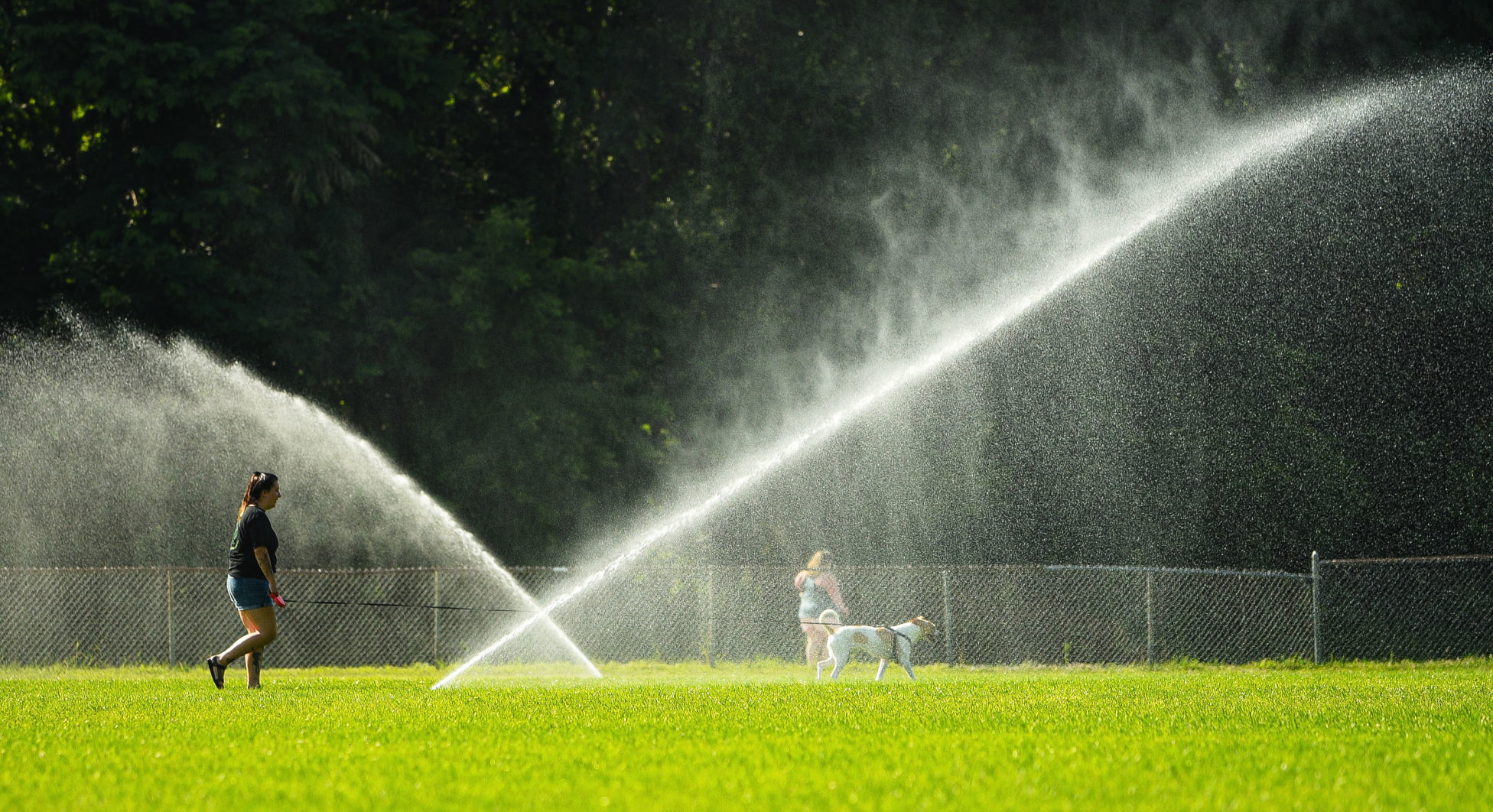 Sprinklers